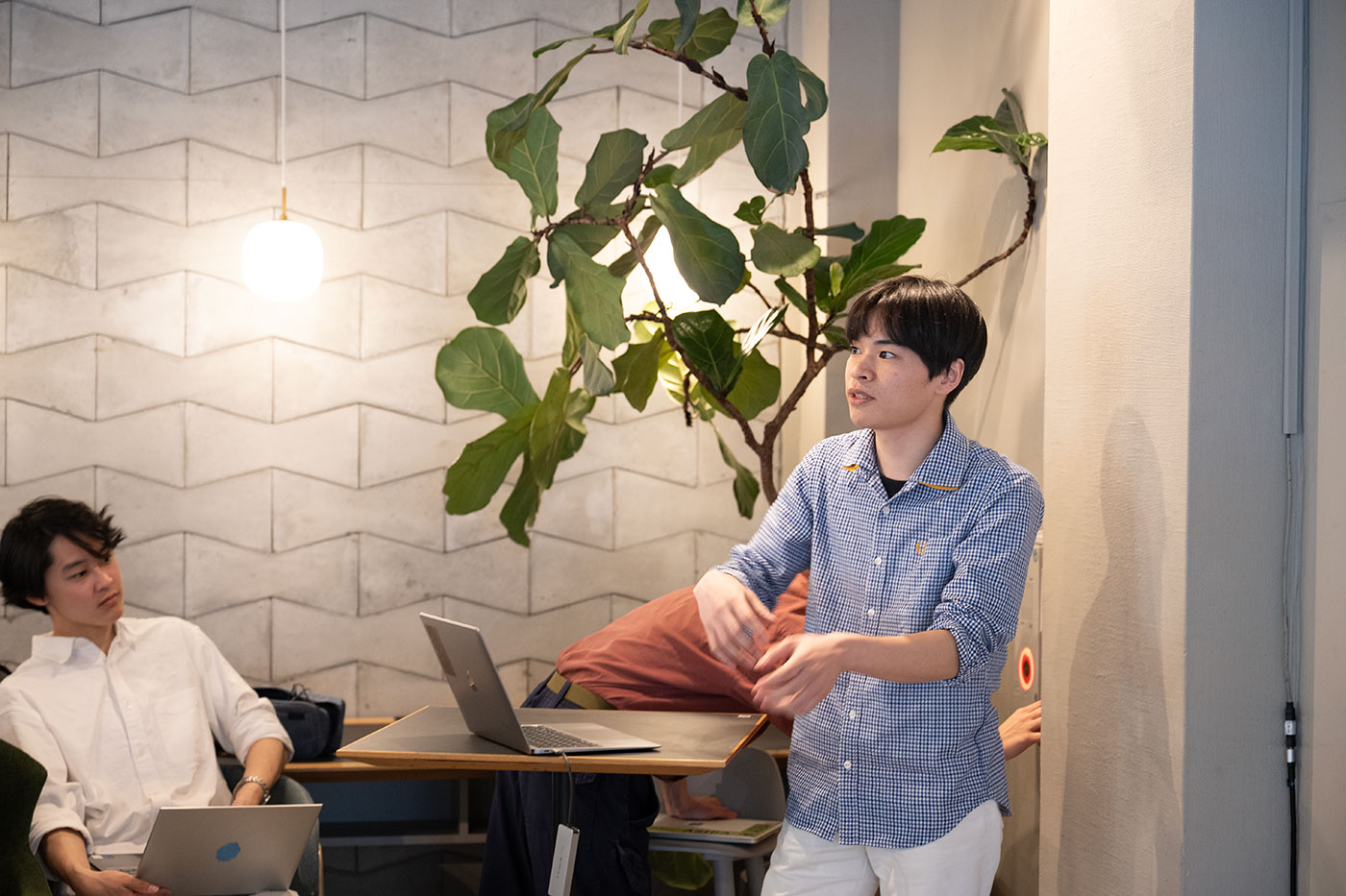 Gallery 6f45bda3-9e06-47d9-ad15-3373754cad4d