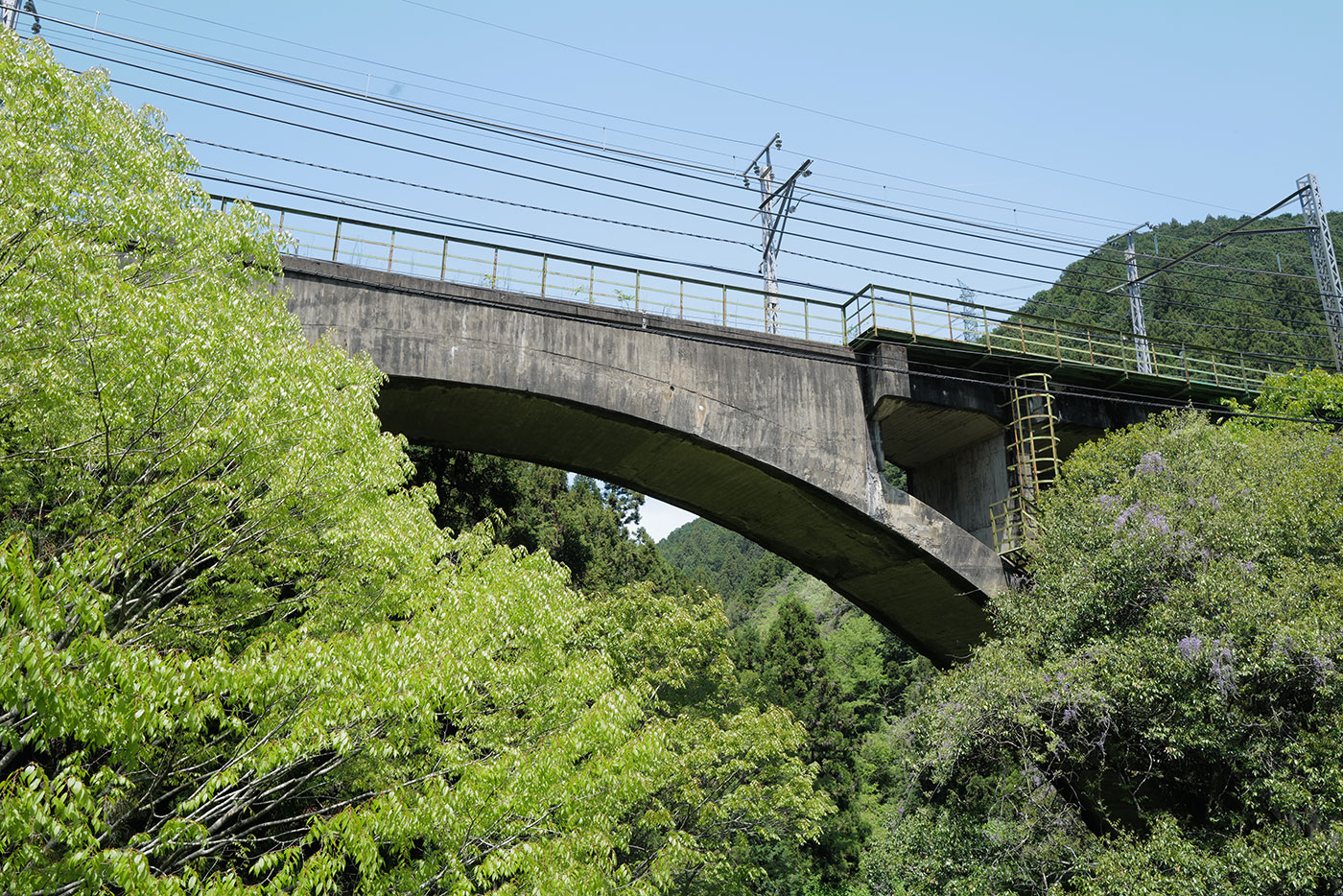 Gallery 69e5c579-8872-4381-bd3c-b94f8afb8010