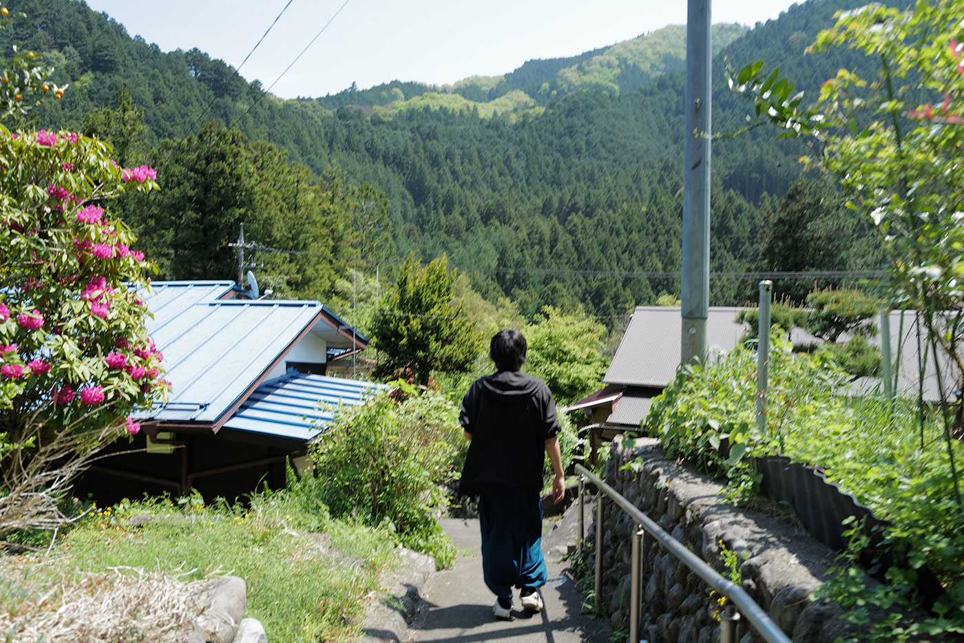 Gallery 8035aca4-5b97-4b95-bcc3-c2b28ce3b079