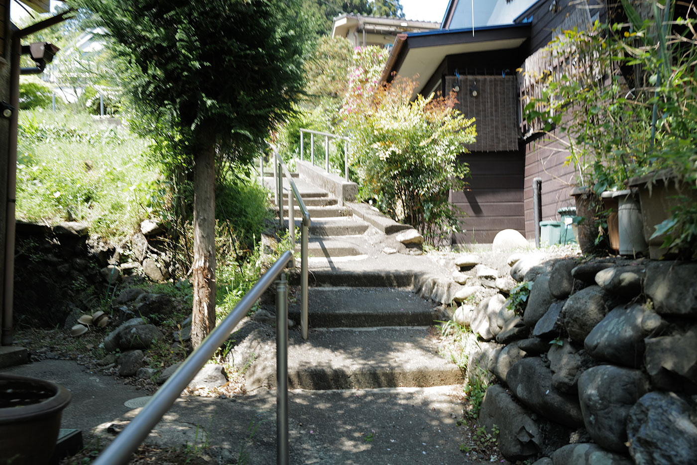 Gallery 45ea3ed2-5e37-4e54-9329-fea41e17c159